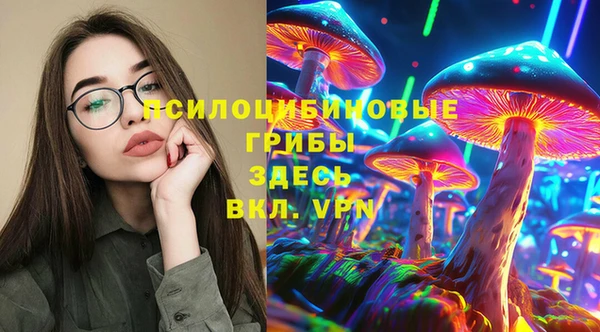 MESCALINE Гусь-Хрустальный