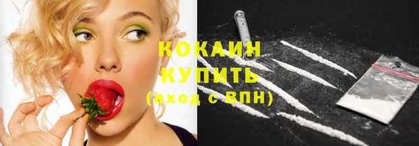 MESCALINE Гусь-Хрустальный