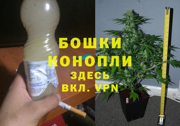 MESCALINE Гусь-Хрустальный
