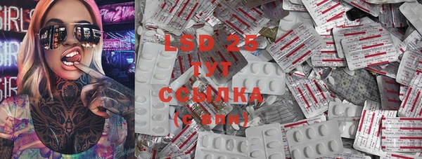 PSILOCYBIN Гусев