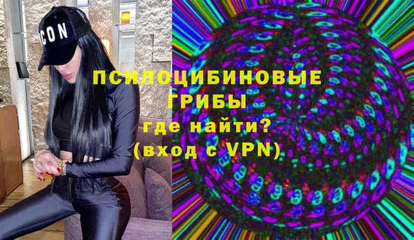 MESCALINE Гусь-Хрустальный