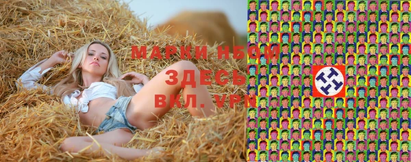 PSILOCYBIN Гусев